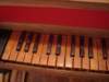 jackpetersenharmonicharpsichord9_small.jpg